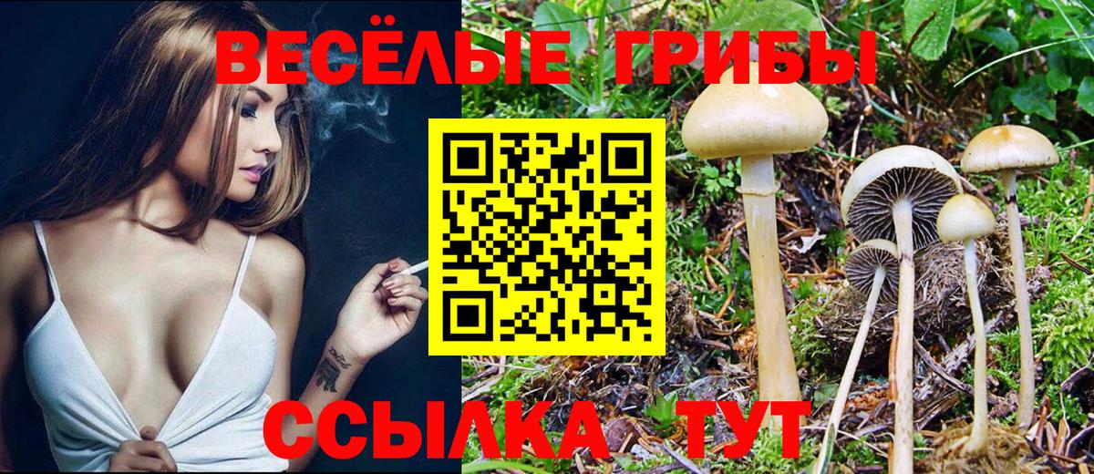 Псилоцибиновые грибы мухоморы Нурлат