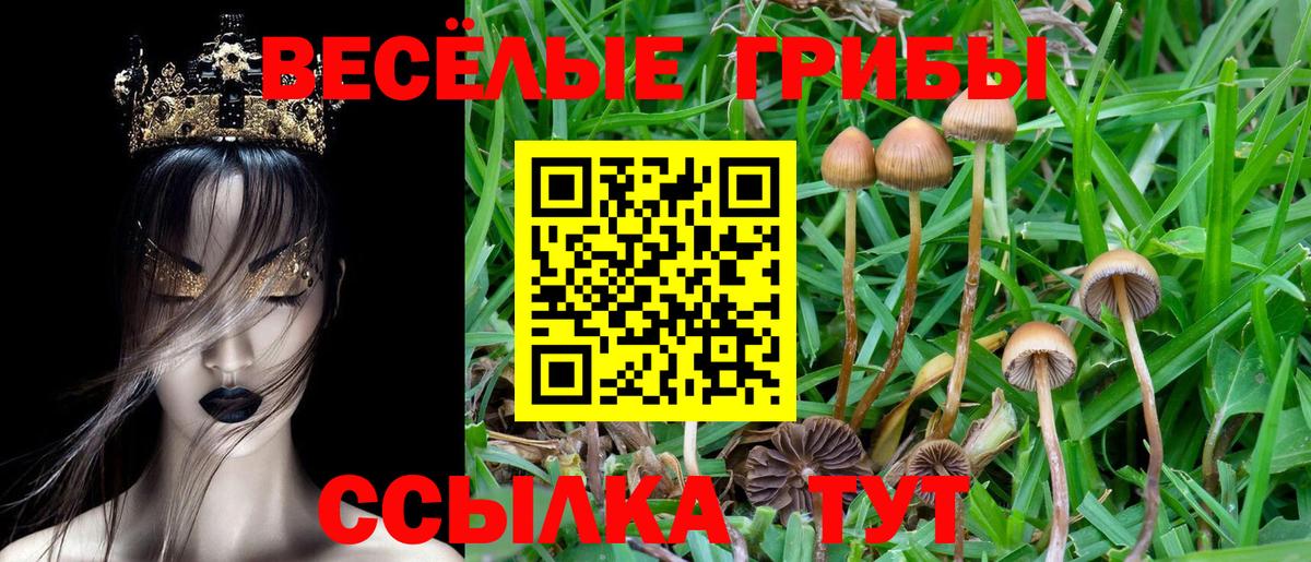 Галлюциногенные грибы Cubensis  Вход с VPN  Нурлат 
